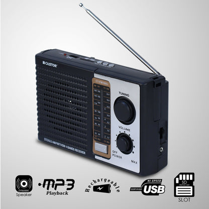 iBELL CTFM100U Portable FM Radio, with USB, SD Card, MP3 Player & Dynamic Speaker 4 Band (Black)