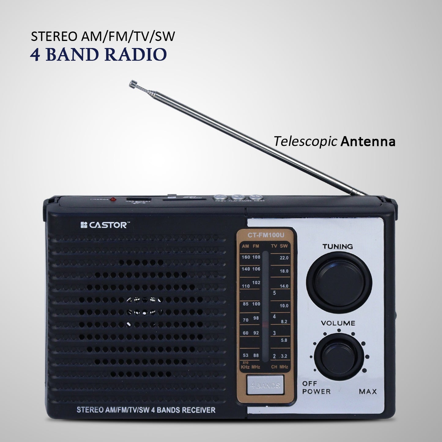 iBELL CTFM100U Portable FM Radio, with USB, SD Card, MP3 Player & Dynamic Speaker 4 Band (Black)