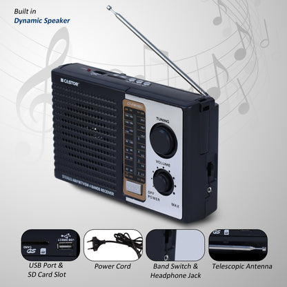 iBELL CTFM100U Portable FM Radio, with USB, SD Card, MP3 Player & Dynamic Speaker 4 Band (Black)