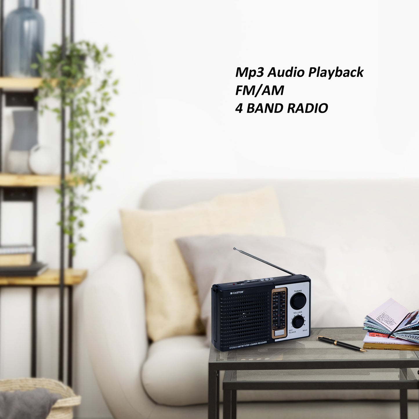 iBELL CTFM100U Portable FM Radio, with USB, SD Card, MP3 Player & Dynamic Speaker 4 Band (Black)