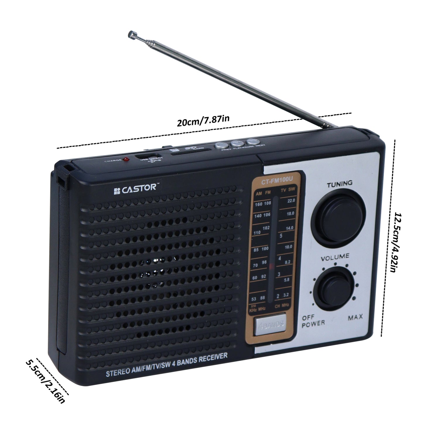 iBELL CTFM100U Portable FM Radio, with USB, SD Card, MP3 Player & Dynamic Speaker 4 Band (Black)
