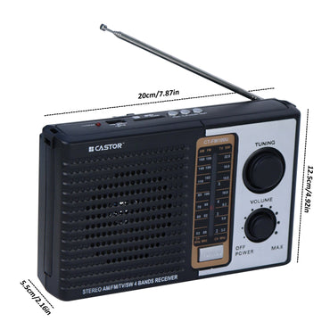 iBELL CTFM100U Portable FM Radio, with USB, SD Card, MP3 Player & Dynamic Speaker 4 Band (Black)