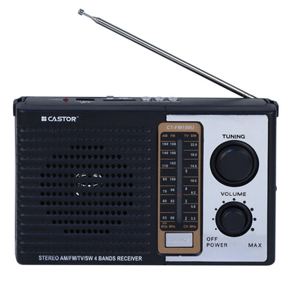iBELL CTFM100U Portable FM Radio, with USB, SD Card, MP3 Player & Dynamic Speaker 4 Band (Black)