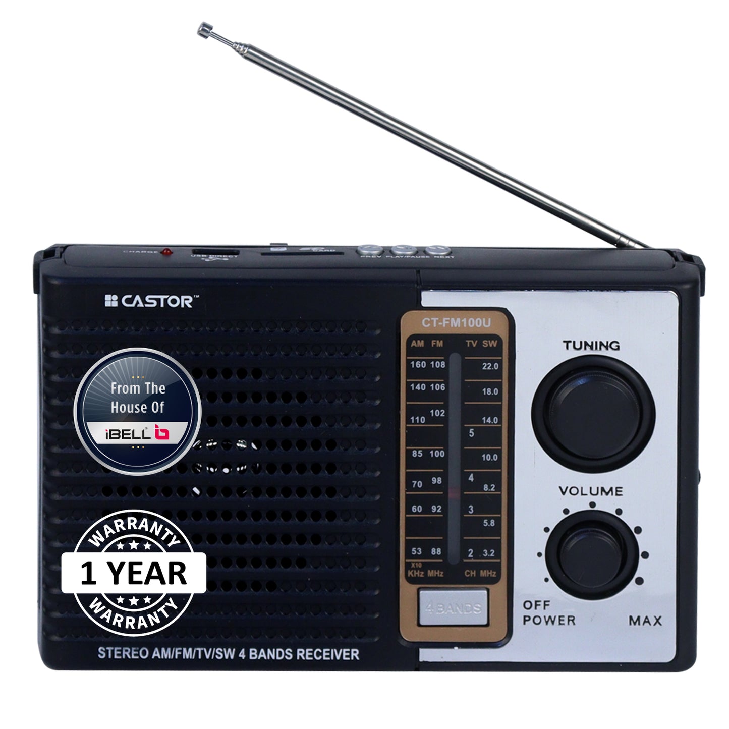 iBELL CTFM100U Portable FM Radio, with USB, SD Card, MP3 Player & Dynamic Speaker 4 Band (Black)