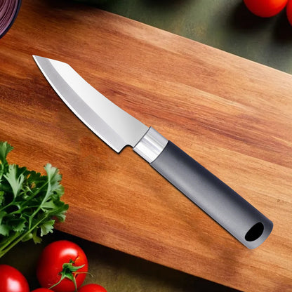 IBELL FA25 Knife for Kitchen Use Multipurpose Stainless Steel Kitchen Knife for Veg, Meat and Fruit Cutting (Black)