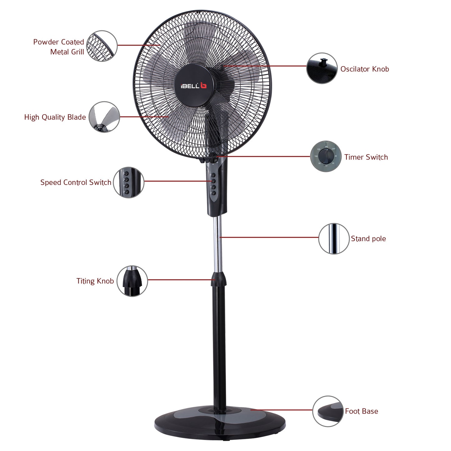 IBELL CHROME10 5 Leaf Pedestal Fan with Timer. High Speed motor - Black