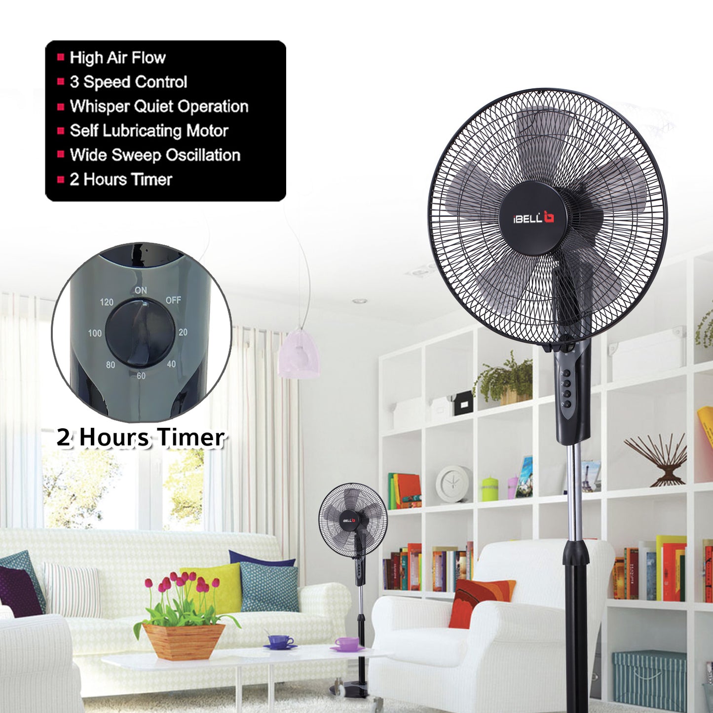 IBELL CHROME10 Pedestal Fan with 2hr Timer, 5 Leaf, High-Speed Motor, Height Adjustable, Portable (Black), 406.4 mm