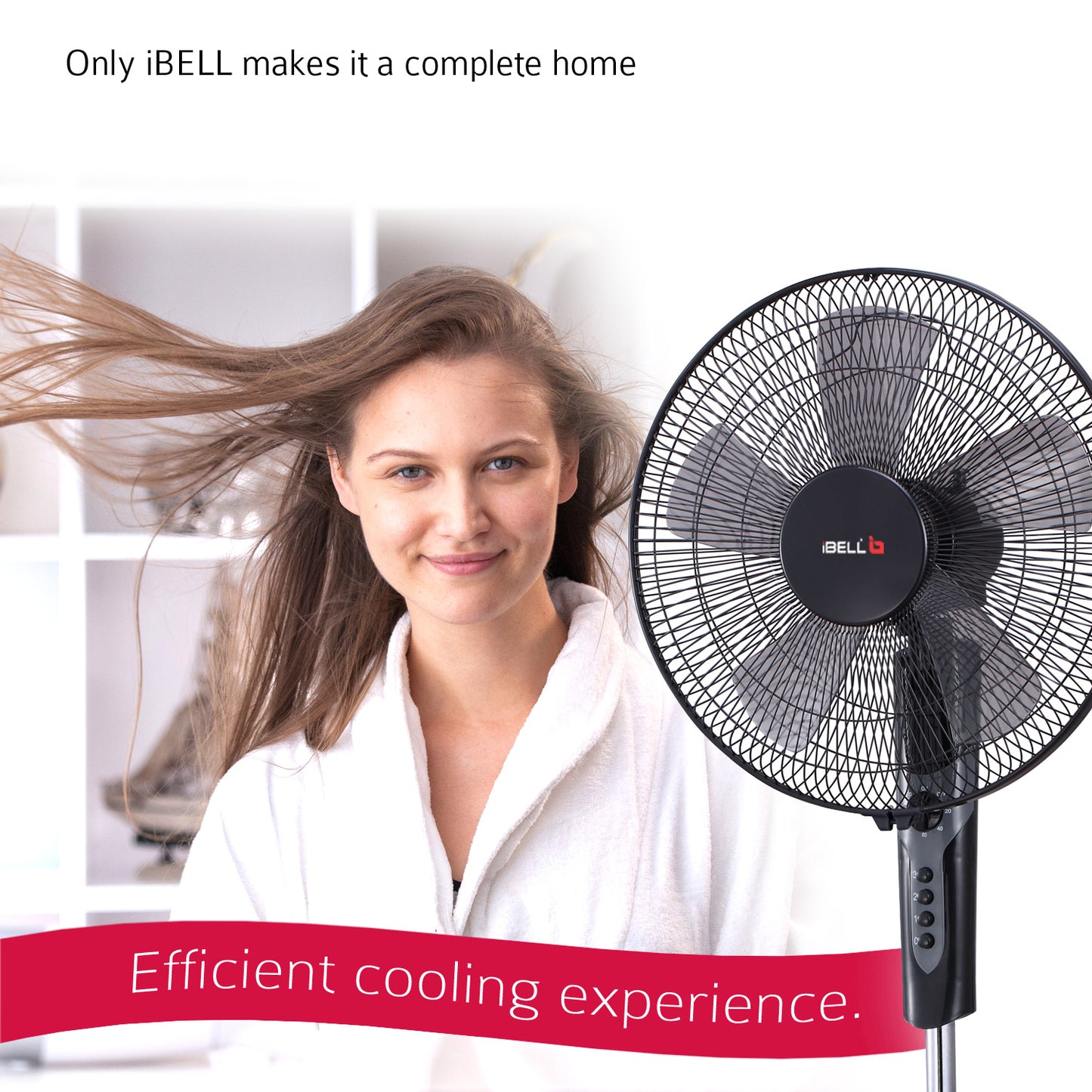 IBELL CHROME10 5 Leaf Pedestal Fan with Timer. High Speed motor - Black