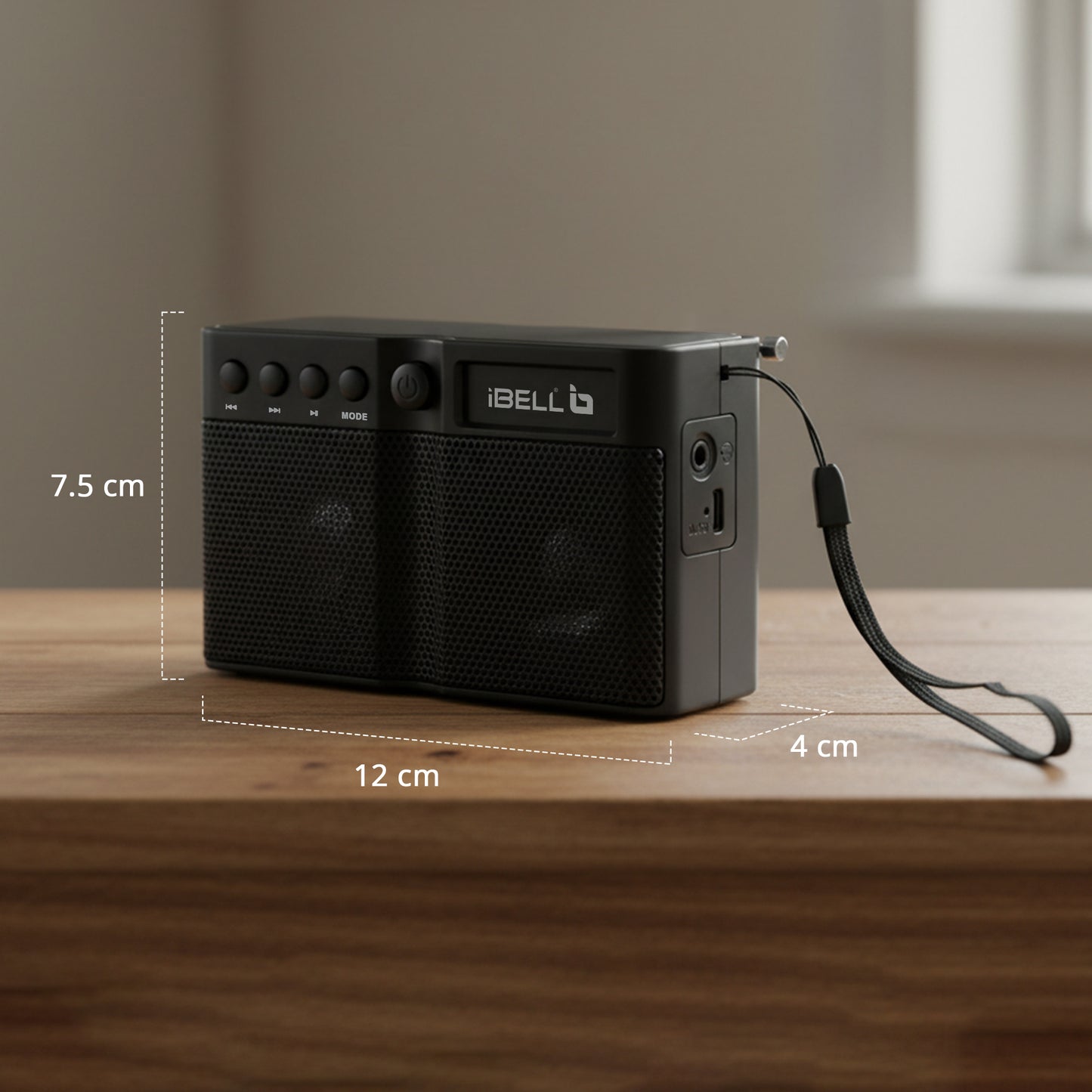 iBELL FM760BT Portable FM Radio with Bluetooth Speaker, USB Charging, Headphone Jack & Built-in Rechargeable Battery (Black)