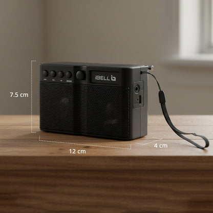 iBELL FM760BT Portable FM Radio with Bluetooth Speaker, USB Charging, Headphone Jack & Built-in Rechargeable Battery (Black)