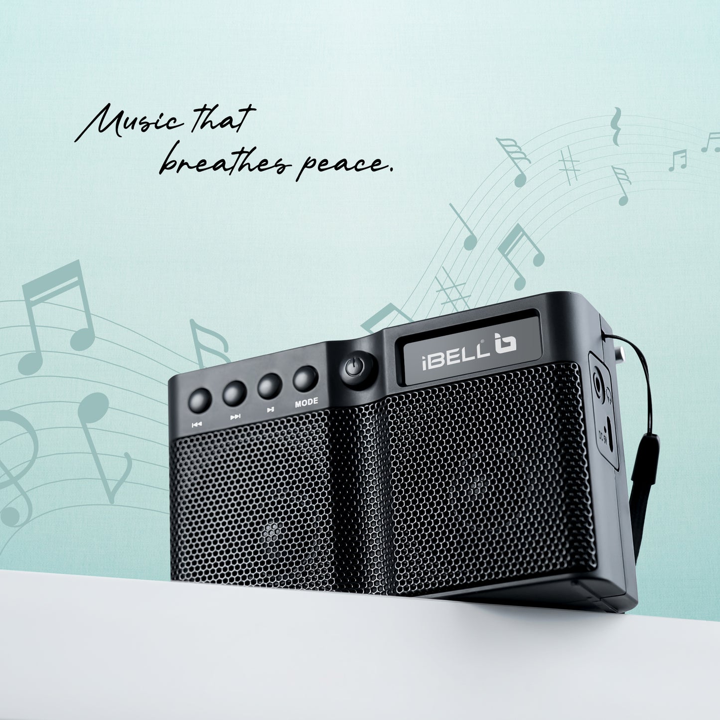 iBELL FM760BT Portable FM Radio with Bluetooth Speaker, USB Charging, Headphone Jack & Built-in Rechargeable Battery (Black)