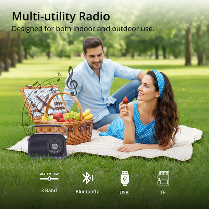 iBELL FM770BT Portable FM Radio with Bluetooth Speaker, AM/FM/SW 3-Band Tuner, USB & Micro TF Slot, MP3 Playback, Rechargeable Battery, Telescopic Antenna – Retro Style (Grey)