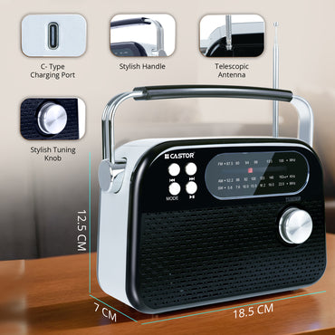 CASTOR iBELL FM820BT Portable FM Radio with Bluetooth Speaker, Rechargeable Battery, USB SD MP3 Player & Dynamic Speaker 3 Band, Black