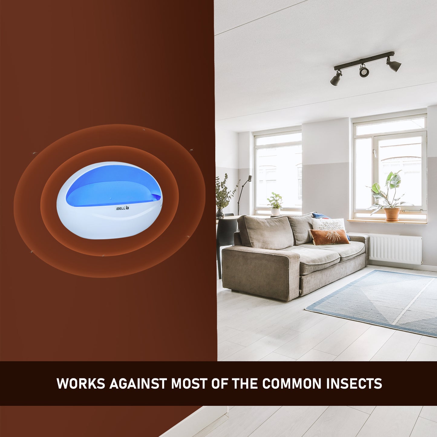 iBELL P100IK LED Fly Catcher & Insect Killer Machine with Sticky Trap, No Side Effects, Compact and Stylish Design for Home, Office and Restaurant (White)