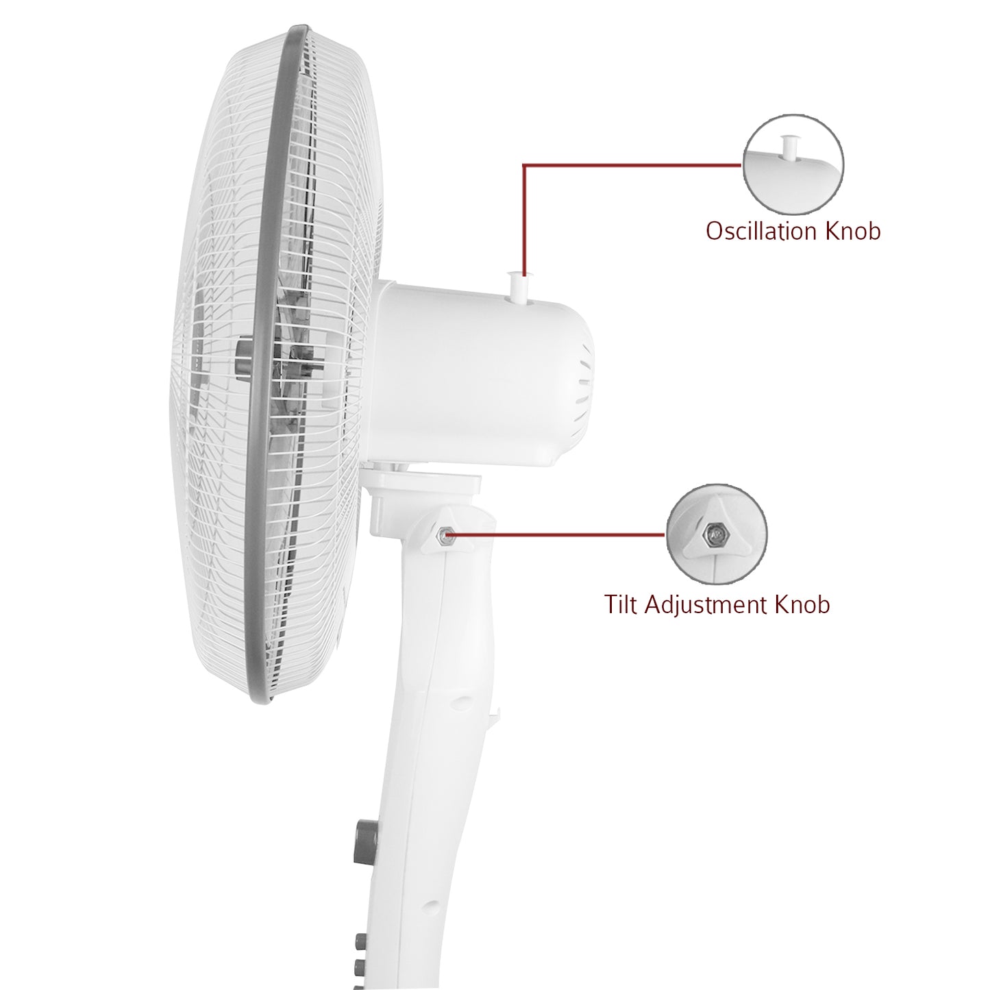 IBELL STORM P10 WHITE High Speed Pedestal Fan, 5 Leaf, 406mm, 2 hour Timer, Stand fan with Copper Motor (White)