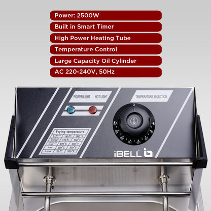 iBELL DF610M Electric Deep Fryer 6 Litre Stainless Steel 2500W with Variable Temperature Control, Silver