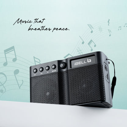 iBELL FM760BT Portable FM Radio with Bluetooth Speaker, USB Charging, Headphone Jack & Built-in Rechargeable Battery (Black)