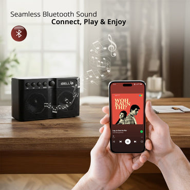 iBELL FM760BT Portable FM Radio with Bluetooth Speaker, USB Charging, Headphone Jack & Built-in Rechargeable Battery (Black)