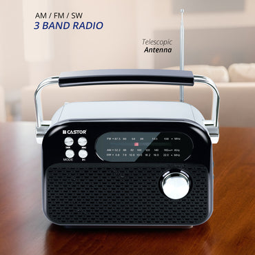 CASTOR iBELL FM820BT Portable FM Radio with Bluetooth Speaker, Rechargeable Battery, USB SD MP3 Player & Dynamic Speaker 3 Band, Black