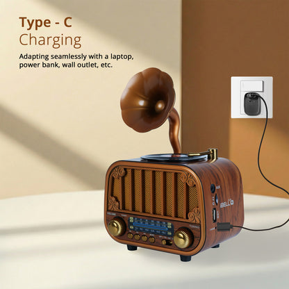 iBELL Rhythm 540 Vintage Bluetooth Speaker with AM/FM/SW Radio | 3 Band Portable Retro Radio | USB Port & TF Card Slot | MP3 Playback | 5V DC Powered Wireless Music System (Wood Finish)