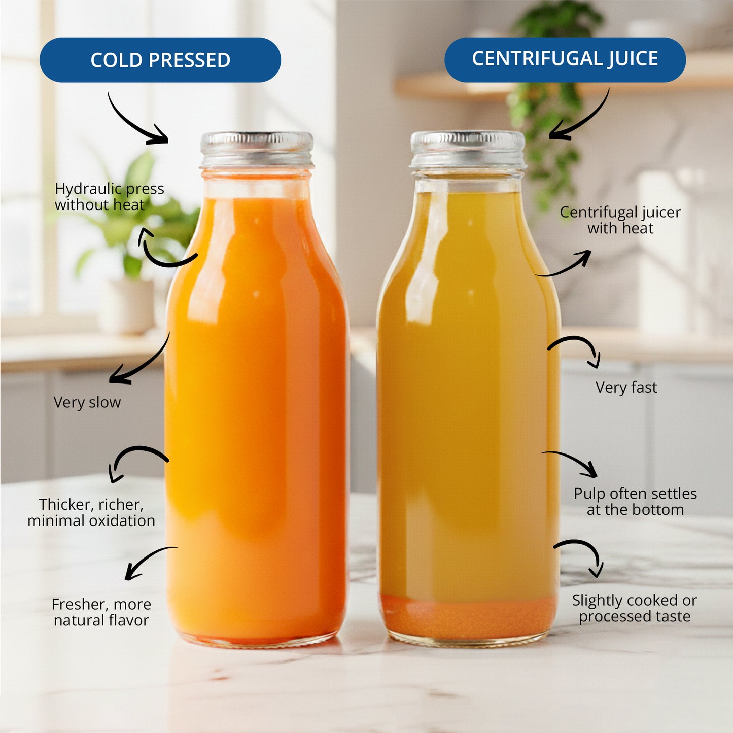 iBELL SLOW FUSION 750 Cold Press Slow Juicer 300W Silent Motor All-in-1 Fruit & Vegetable Juicer machine for home Compact Design Easy Assembly & Cleaning with 10 -Year Warranty