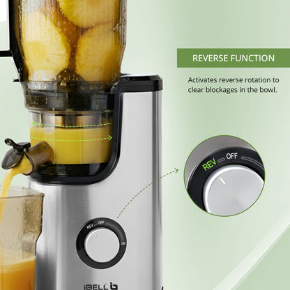 iBELL Slow Fusion 1300 Whole Fruit Cold Press Slow Juicer | 13 cm Wide Mouth | 300W Slow Juicer for Fruits, Vegetables, Nut Milk | High Juice Yield, Low Noise, Easy Clean 10 -Year Warranty