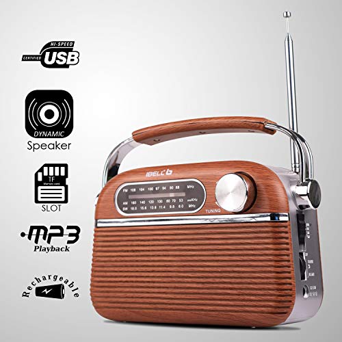 Ibell castor fm660bt portable fm radio with bluetooth speaker