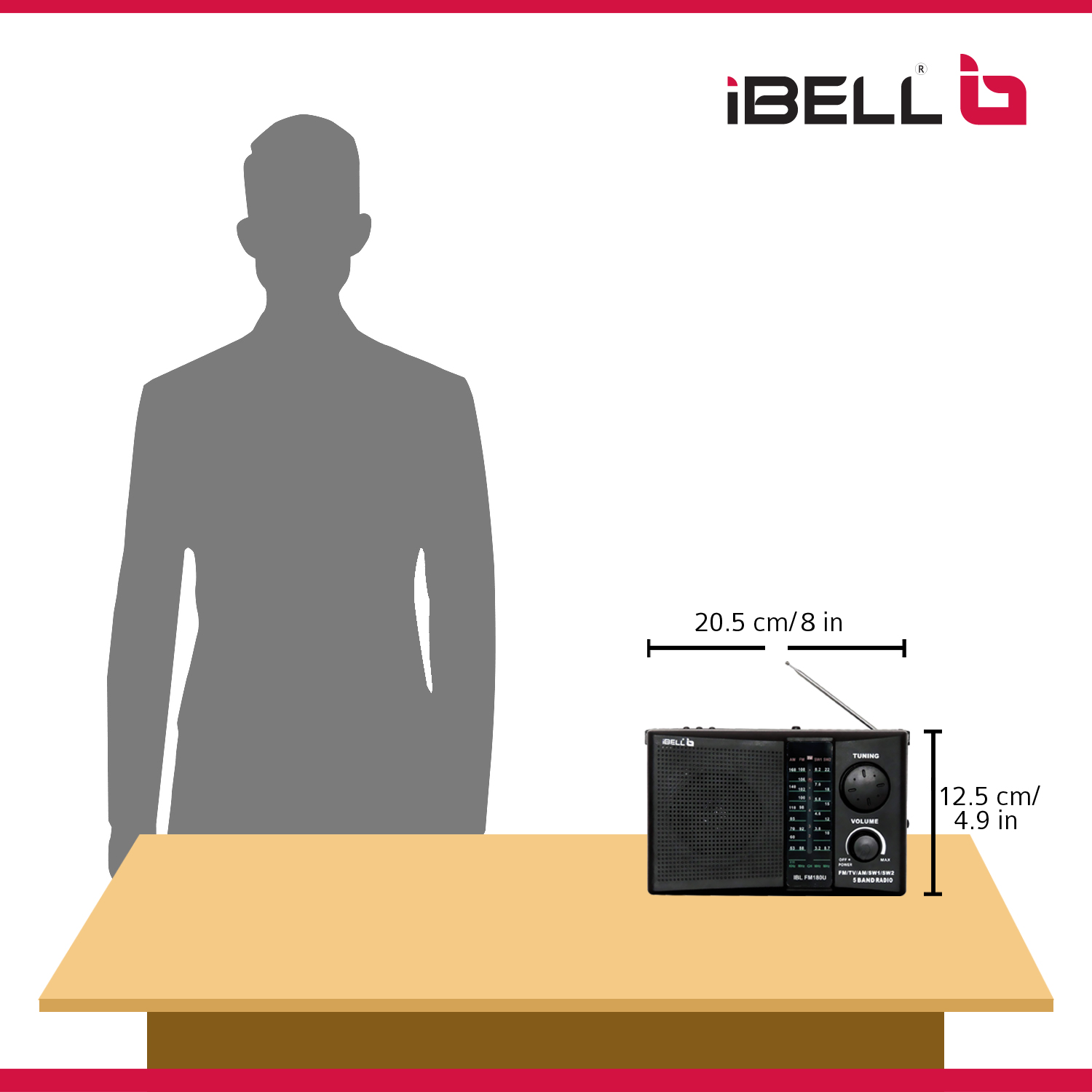 Ibell IBLFM180U Portable FM Radio with Bluetooth Speaker